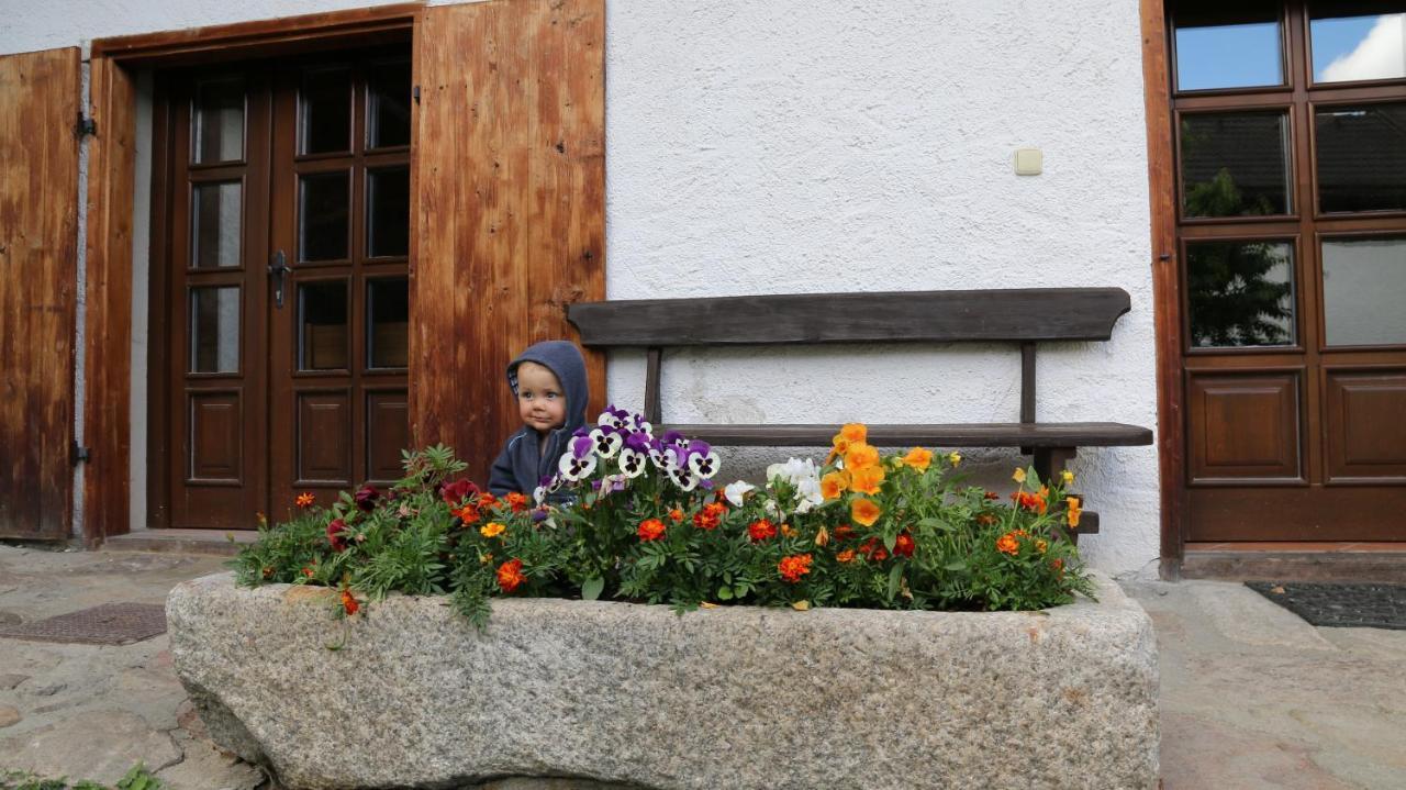 Penzion Mauritz Nová Pec Exterior foto